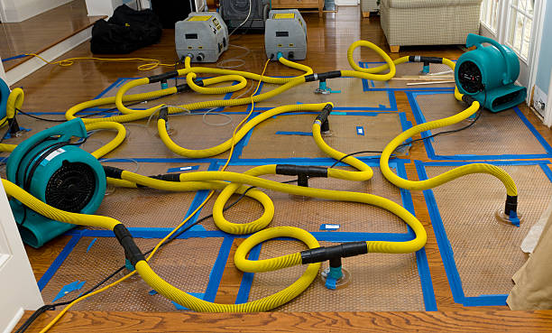 Professional Water Extraction technician working in Clarendon Hills, IL